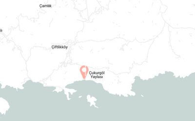 Yalı Koru Eco Tourism