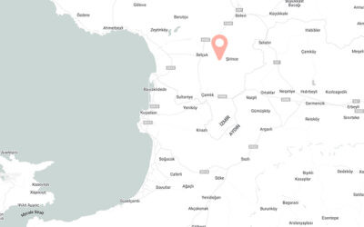 40,000 m² Land, Stone House,Integrated Walnut Production Facility